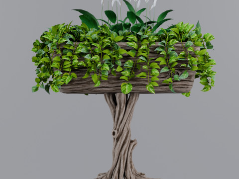 Flowerbed of wood 3Dモデル