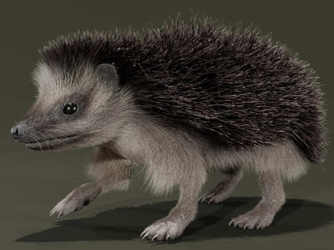 Realistic Animated Hedgehog 3D Модель