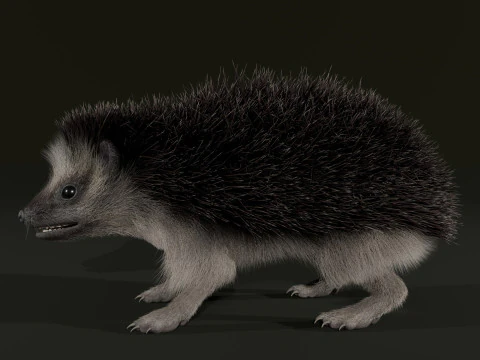 Realistic Animated Hedgehog 3D Model