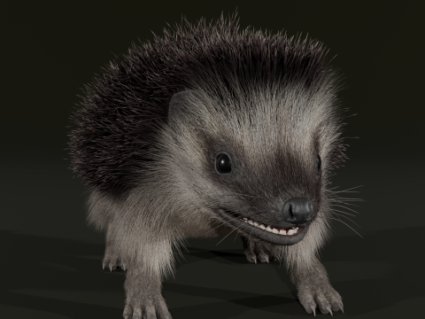 Realistic Animated Hedgehog 3D Model