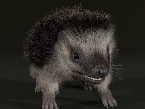 Realistic Animated Hedgehog 3D Model