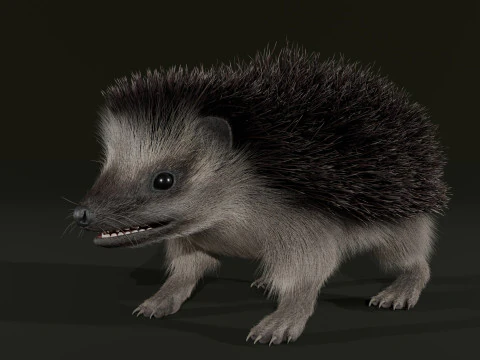 Realistic Animated Hedgehog 3D Model