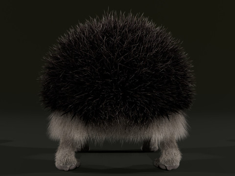 Realistic Animated Hedgehog 3D Model