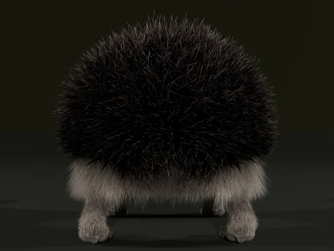 Realistic Animated Hedgehog 3D Model