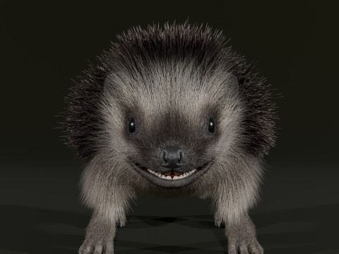 Realistic Animated Hedgehog 3D Model
