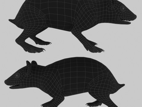 Realistic Animated Hedgehog 3D Model