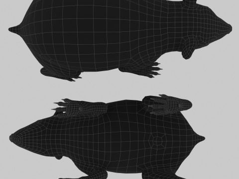 Realistic Animated Hedgehog 3D Model