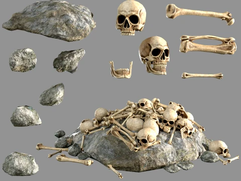 Bones Skulls and Stone Pile 3D मॉडल
