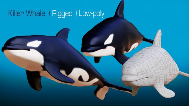 killer whale 3D Model .c4d .max .obj .3ds .fbx .stl .blend 