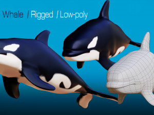 killer whale 3D Model