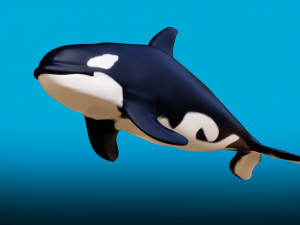 killer whale 3D Model