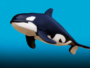killer whale 3D Model
