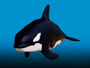 killer whale 3D Model