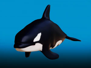 killer whale 3D Model