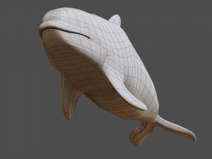 killer whale 3D Model