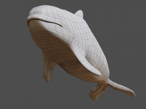 killer whale 3D Model