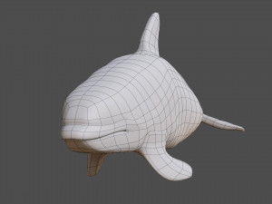 killer whale 3D Model