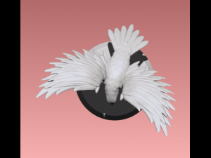 Crow Modèles 3D en vedette