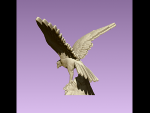 Hawk 3Dプリントモデル