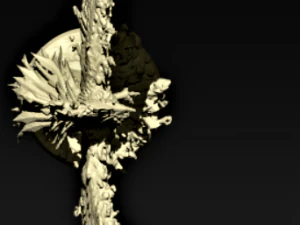 Phoenix 3D Print Model