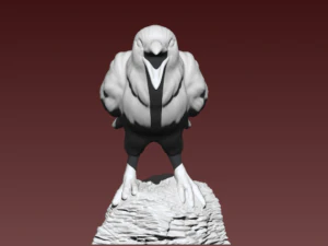 Corvo Modello 3D