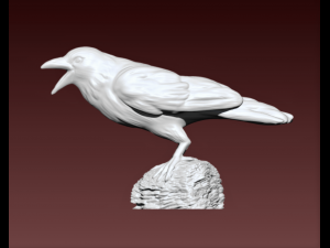 Crow 3D 模型