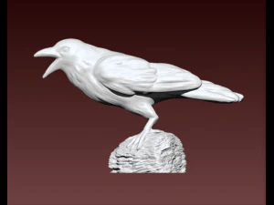 Corvo Modello 3D
