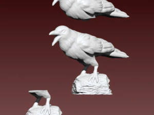 Corvo Modello 3D