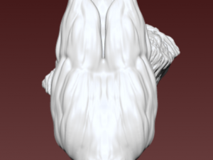 Crow 3D 模型