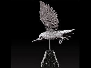 Hawk 3Dモデル