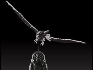 Hawk 3Dモデル