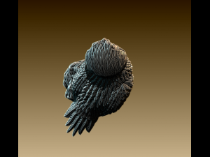 Barn Owl 3Dプリントモデル