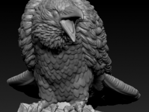 Crow 3D Print Model