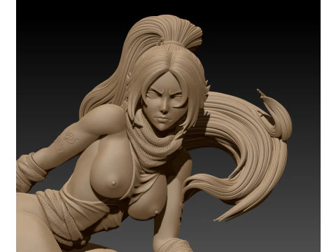 Yoruichi Shihouin 3D Print Model