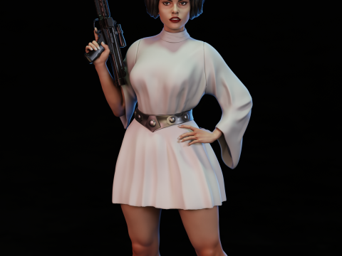Princesa Leia 3D Print Model
