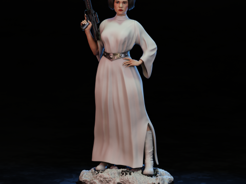 Princesa Leia 3D Print Model