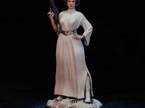 Princesa Leia 3D Print Model
