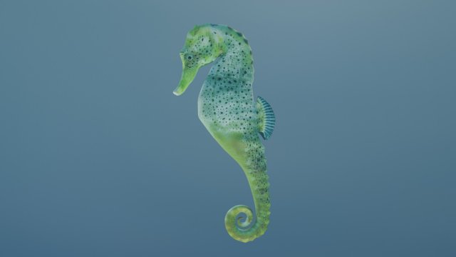 seahorse Model 3D .c4d .max .obj .3ds .fbx .stl .blend 