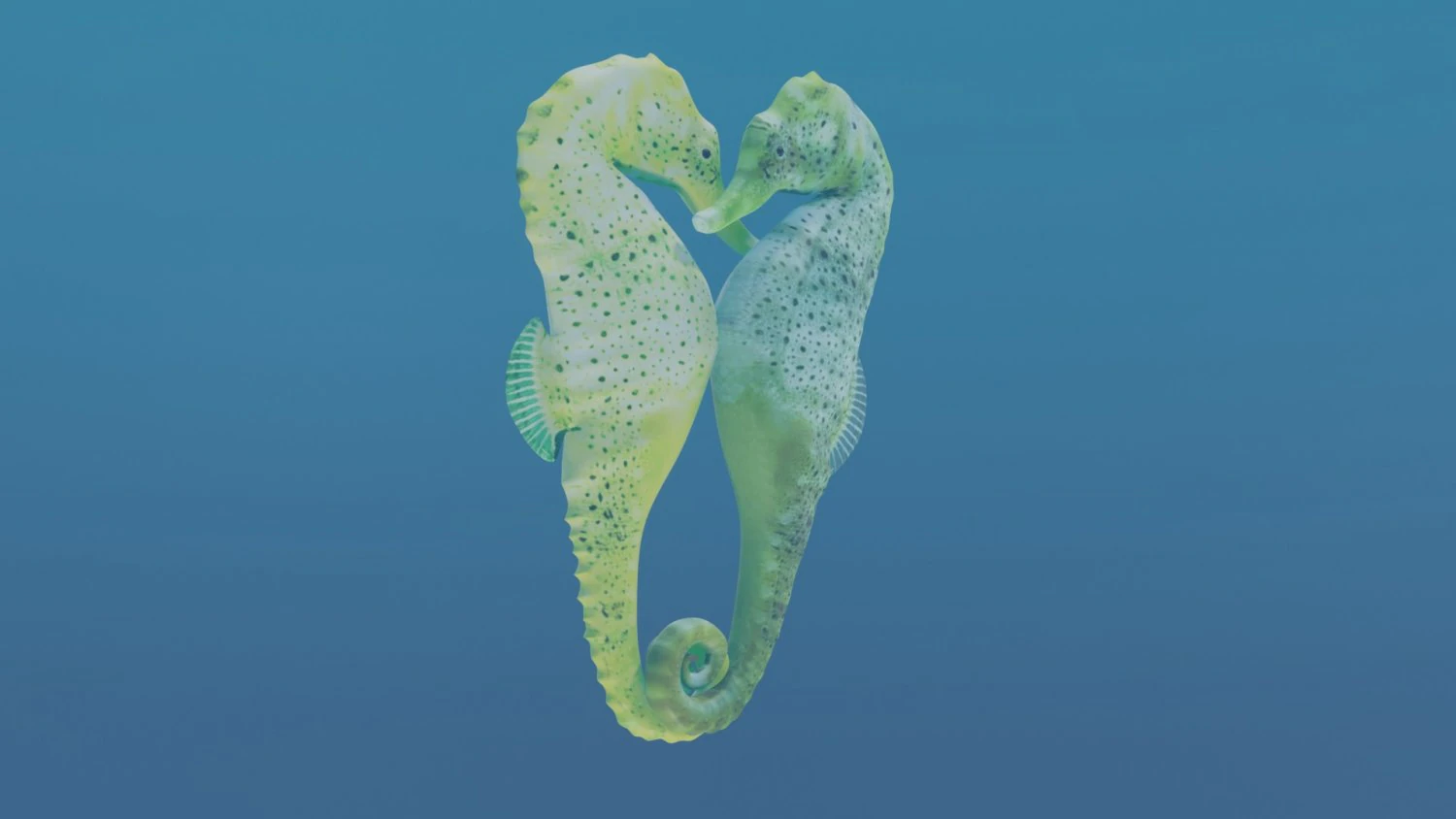 seahorse couple 3D Model .c4d .max .obj .3ds .fbx .stl .blend