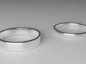 Ringbasis 3D Model