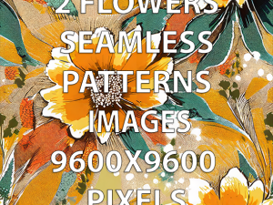 2 Flowers Seamless Patterns Prints CG 纹理
