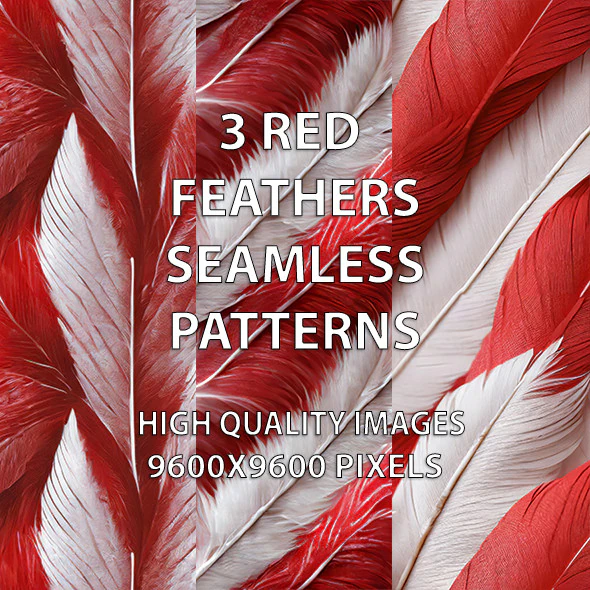 3 Red Feathers Seamless Patterns CG Textures .c4d .max .obj .3ds .fbx .stl .blend