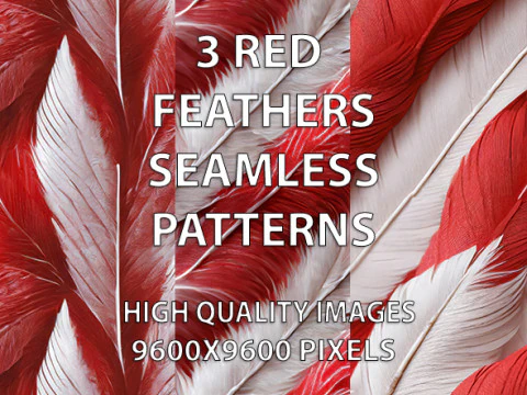 3 modelli senza cuciture di piume rosse CG Textures