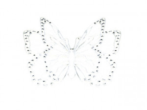 butterfly 3Dモデル