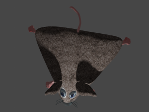 mouse toy 3D 模型