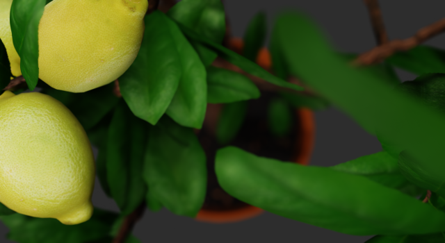 lemon tree 3D Model .c4d .max .obj .3ds .fbx .stl .blend 
