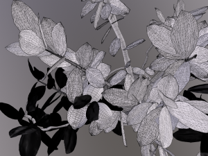 lemon tree 3D Model
