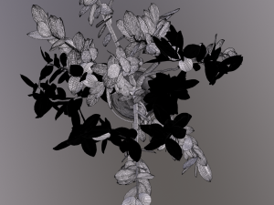 lemon tree 3D Model