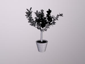 lemon tree 3D Model