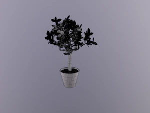 lemon tree 3D Model